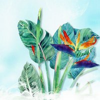 应用操作-如何使用gdb调试拓展