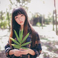 日常操作-TypeEcho