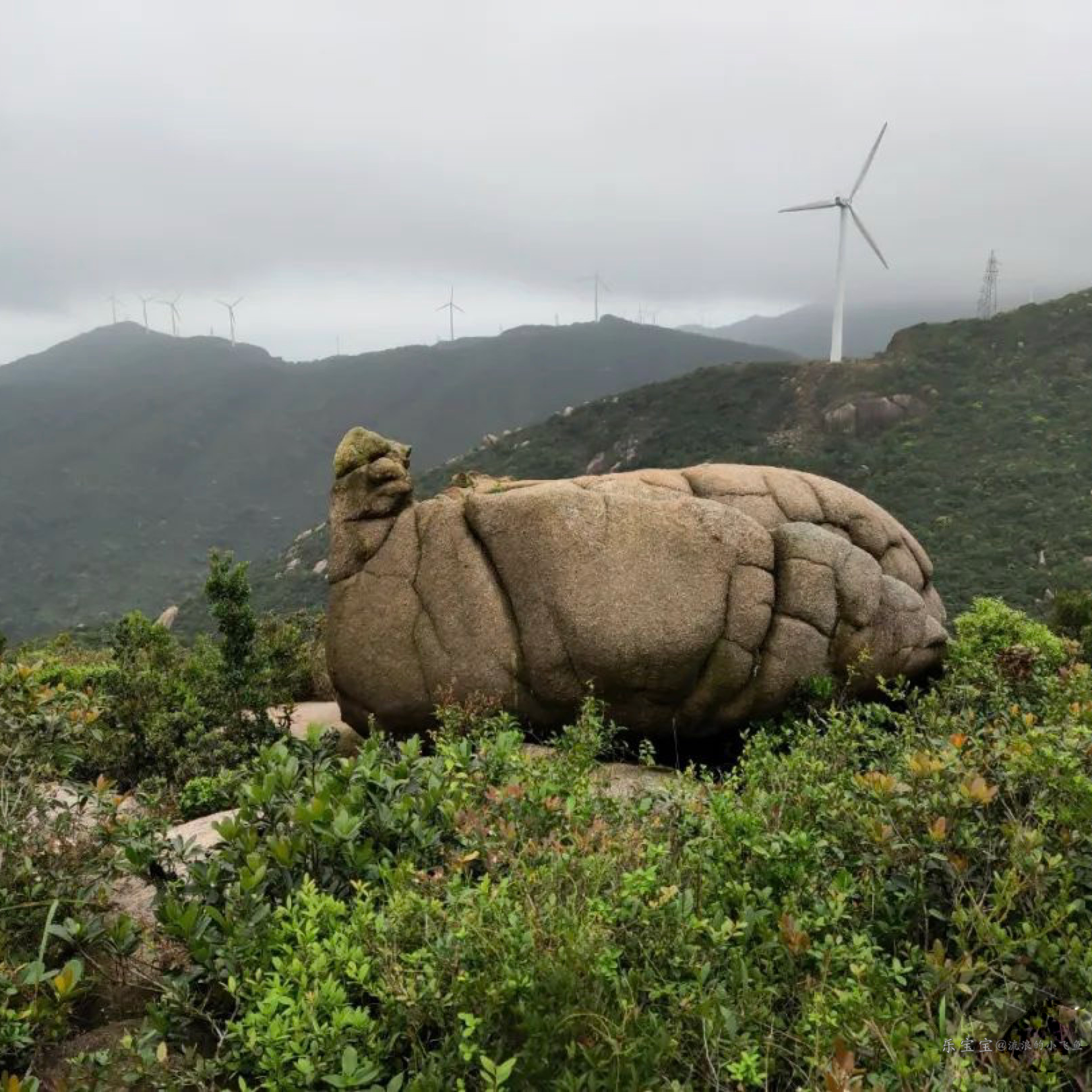 为何越来越痴迷户外活动，你体验过吗？